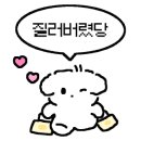비티콜렉션 이미지