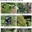 서울특별시중부공원여가센터 이미지