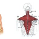 뉴-한남헬스 이미지