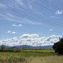 안성가득주유소 | [안성/평택]하루 - 냉모밀, 돈까스, 우동 전문점