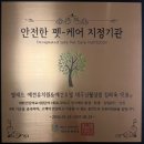 옐레드 애견유치원 & 애견호텔, 미용 안산고잔점 | 옐레드(YELED), ‘안전한 펫-케어 지정기관’ 인증으로 안전한 돌봄문화 선도