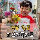 러브미플레르