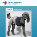 옥천동물병원 이미지