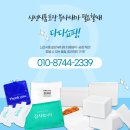 pet226다8960 | 블루베리 500g·1kg 용기, 내돈내산 후기와 함께 소개해요!