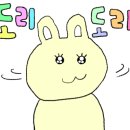 디저트베리머치