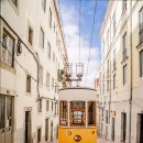 트래블지 이미지