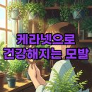 (주) 케라클비전 | 케라넷 효능 후기, 모발 건강과 가격 궁금증 해결!