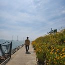 반달북스테이 이미지