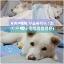 새봄이네민박 | 본격 랑랑이네 손님 자랑 포스팅, 그리고 감사한 마음을 담은 호스트의 이벤트!
