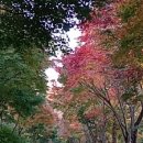 하늘마루 이미지