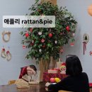 애플리라탄