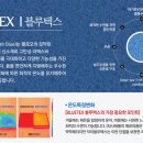 이태리팔로모침대
