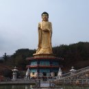 황동대 Daum카페