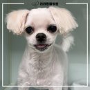 리라동물병원 이미지