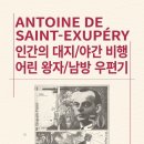 인간의 대지-비행 | 눈에 보이지 않는다.” 라고 한 사연 - 인간의 대지 / 야간비행 / 어린왕자 / 남방 우편기 서평 요약 후기