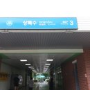 최용신 선생 묘 이미지