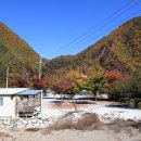 러브팩토리 이미지