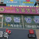 자유로 동물병원 이미지