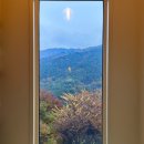 봉화농장 | 경북 봉화 와인과 함께한 가을힐링 그 자체 홍제원펜션