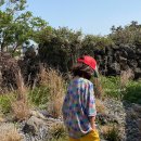 27200-다-10 이미지