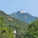 버스정류장 07-302 | 청룡산과 텃밭까지 산행후기