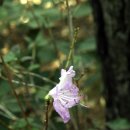 용운산장 이미지