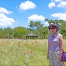 화이트하우스 이미지