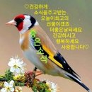 사미원