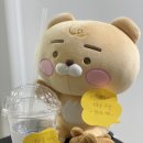 낸스패션
