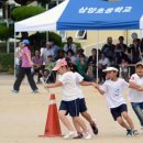 삼양초등학교 이미지