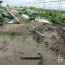 전북특별자치도 정읍시농업기술센터 이미지