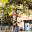 프로방스민박 이미지