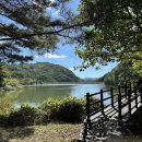 원풍 | 충청남도 여행 원풍저수지 산책 후기