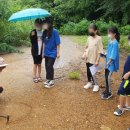 강림초등학교 이미지