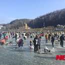 평창송어축제 이미지