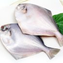 서준수산 - 목포시 수강로12번길 42 | 서준수산