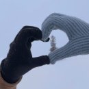 선촌마을 공중화장실 | 삿포로 | 비에이투어 크리스마스 나무 (흰그림자투어, 일정표, 화장실 위치)