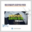 [보도자료] 항공마일리지 표준약관 제정(안) 공정위 제출 이미지