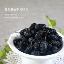 황토뽕 농장 이미지