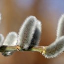 냉천공원 화장실 이미지