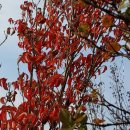 예림이네민박 이미지