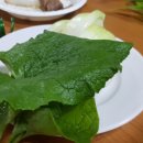 법인행복한농원 이미지