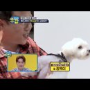 브이케어 이미지