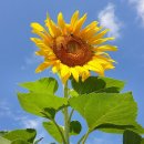 맘편한생활 이미지