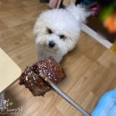 포천이동갈비직판장 백운계곡점