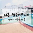 시흥 월곶 에코피아 워터파크 후기 :: 내돈내산 :: 아이와 가볼만한곳 :: 꿀팁정보