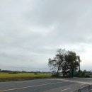 호남선 농장 이미지