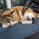 UR(인천광역시 남동구)-20[인하로]-하-3 | 연말 일기