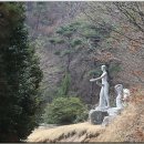 조각미인 이미지