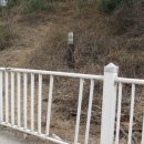 상현초등학교 이미지